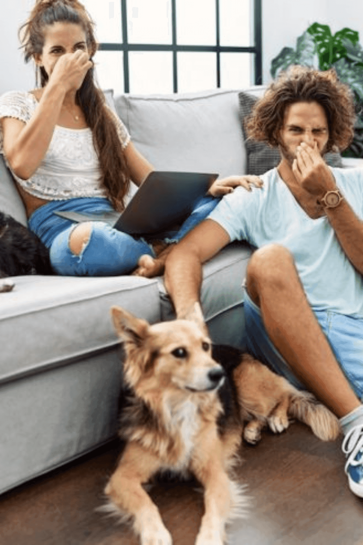 Pet Odors? Here’s How to Keep Your Home Smelling Fresh